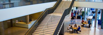 Powder Coated Steel Railings for Commercial Decks 5