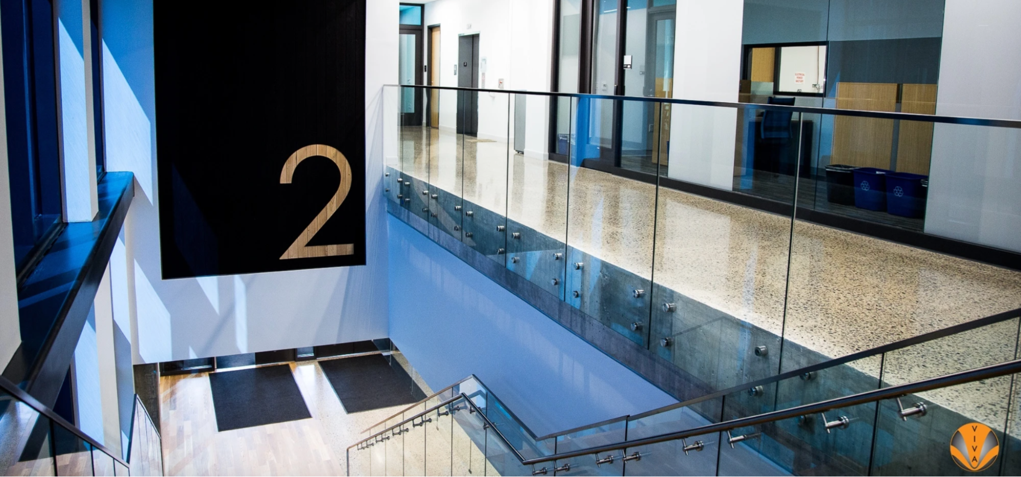 College students railing 17