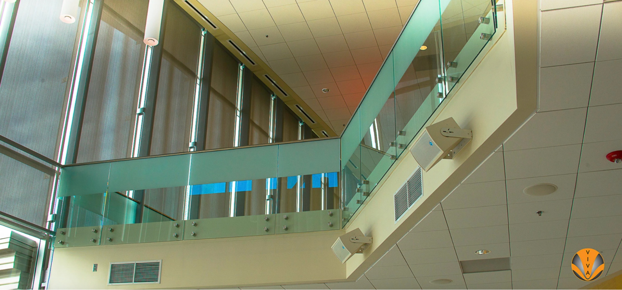 College students railing 23