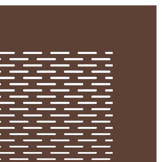 FRAME PMSL 0325 brown