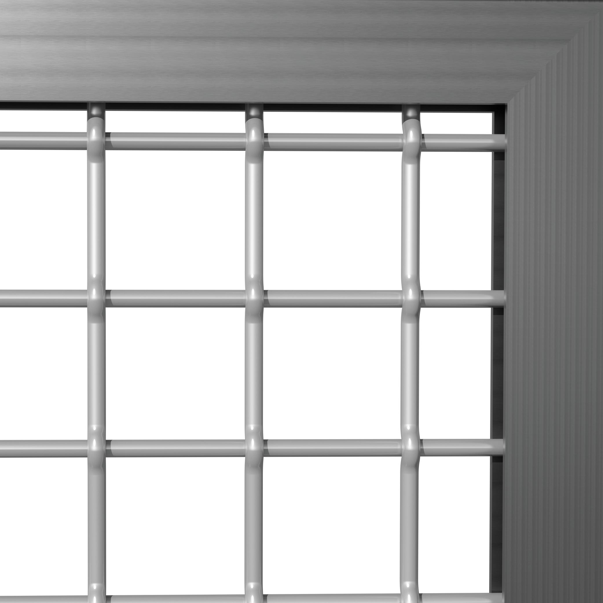 Wire Mesh thumbnail 1