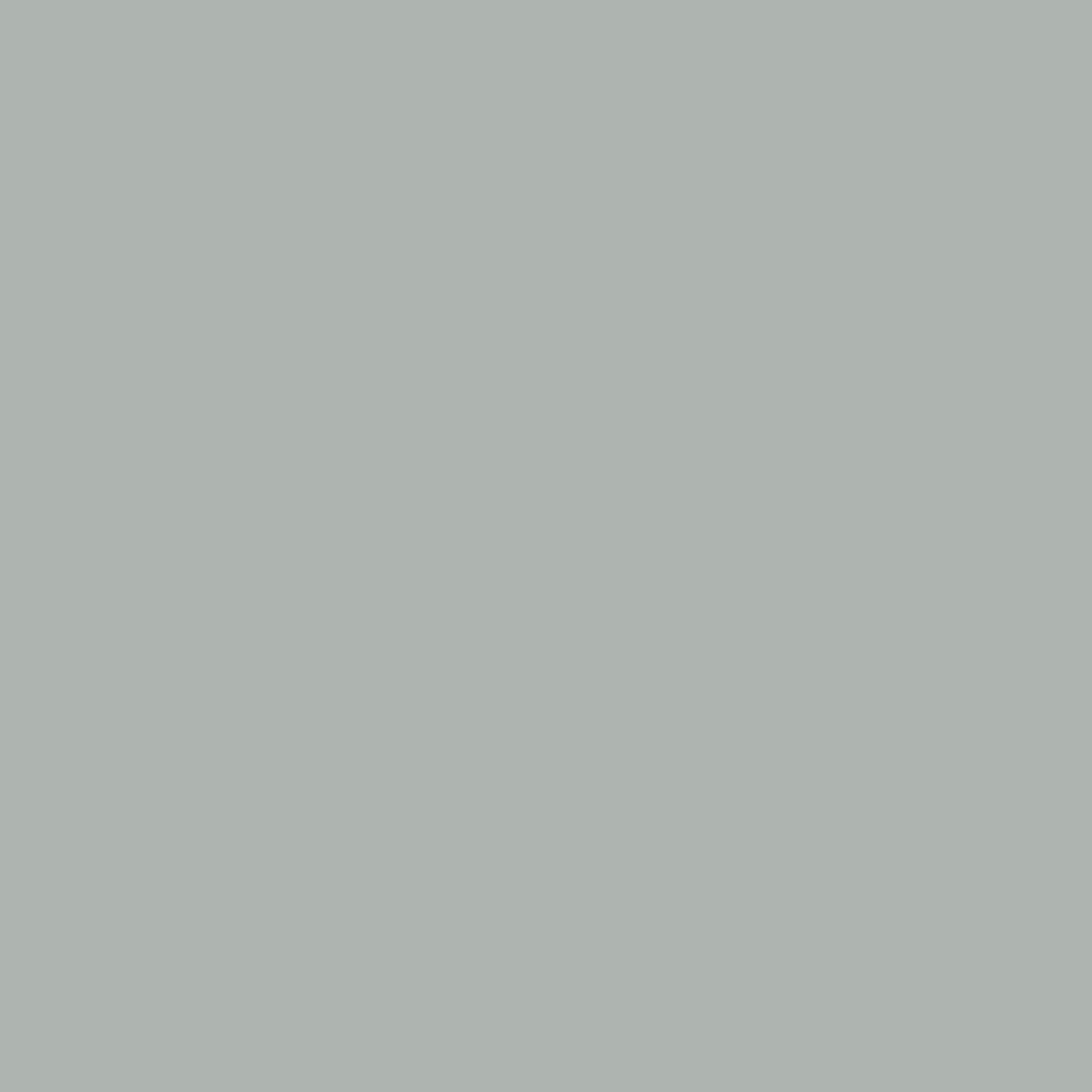 08 GRAY