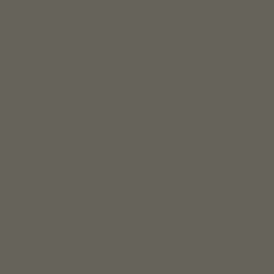 CS 187 TRANSFER GREY