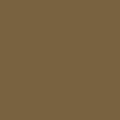 CS 231 MAGPUL FOLIAGE GREEN