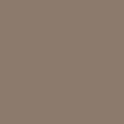 CS 240 COYOTE TAN