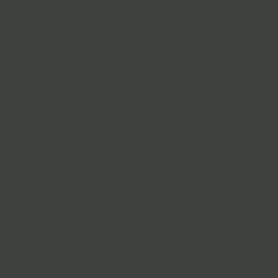 CS 7300 BLACK VELVET