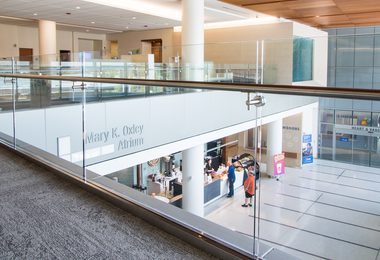 SHOE Structural Glass Railing System